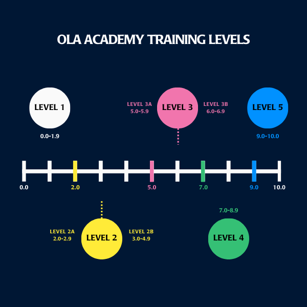 OLA Academy Skills Assessment